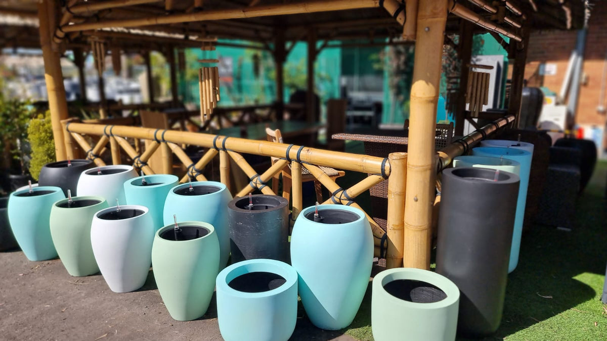 Poly Fiber Pots Bottle Tree Cafe Garden and Aquarium