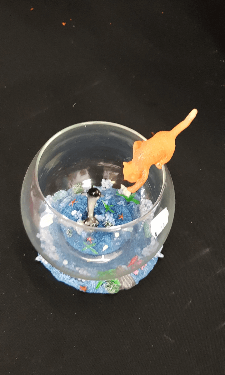 Pet Fish Beta Bowl Crab Pet Fish Aquariums Bottle Tree Cafe