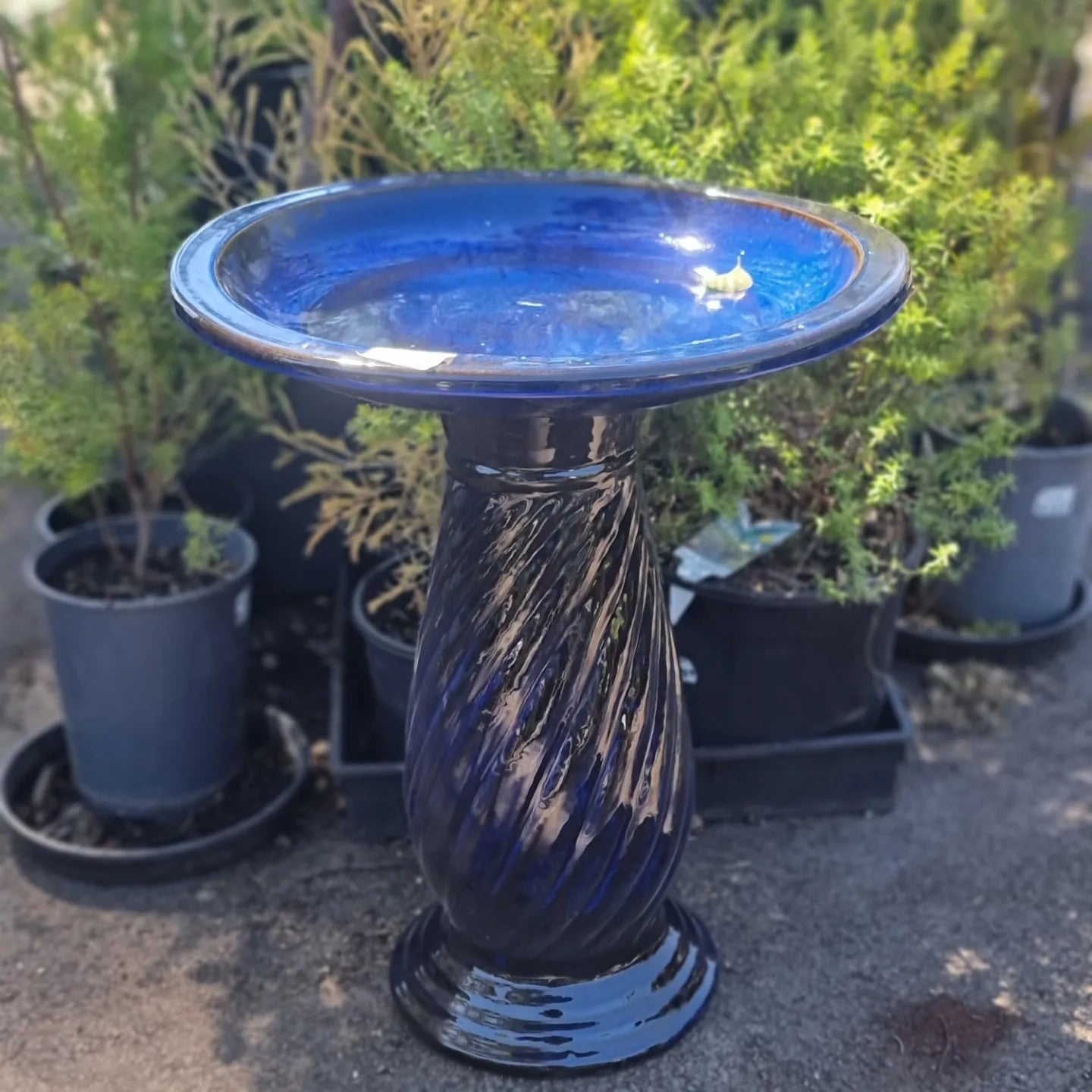 Glazed Birdbath