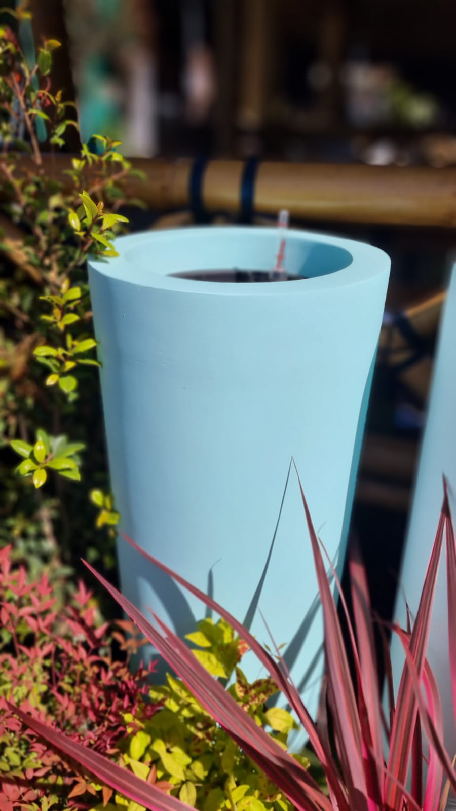 Light Cone Pot (Self Watering)